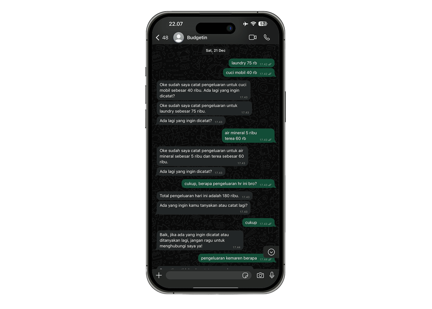 Budgetin Chat Mockup